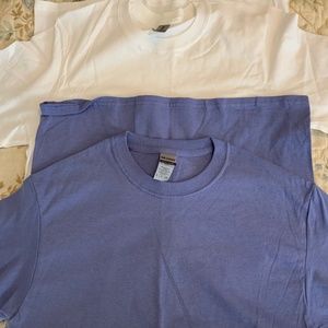 GILDAN T~Shirts SP Blue and One white